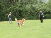 Bendix und das Boxband (68)